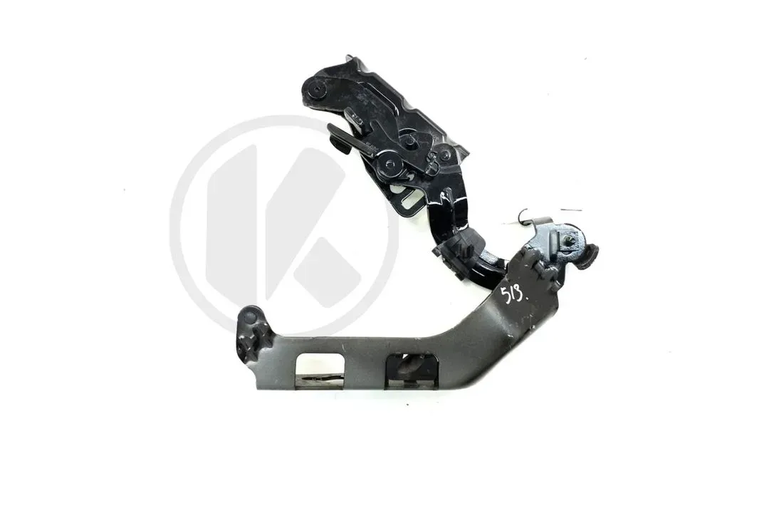 HINGE - LEFT